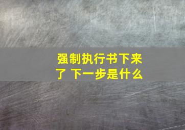 强制执行书下来了 下一步是什么